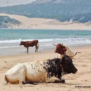 El Duende De Tarifa Facinas
